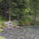 Hintersee im Felbertal