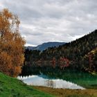 Hintersteiner See (4)