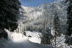 Hintersteinertal