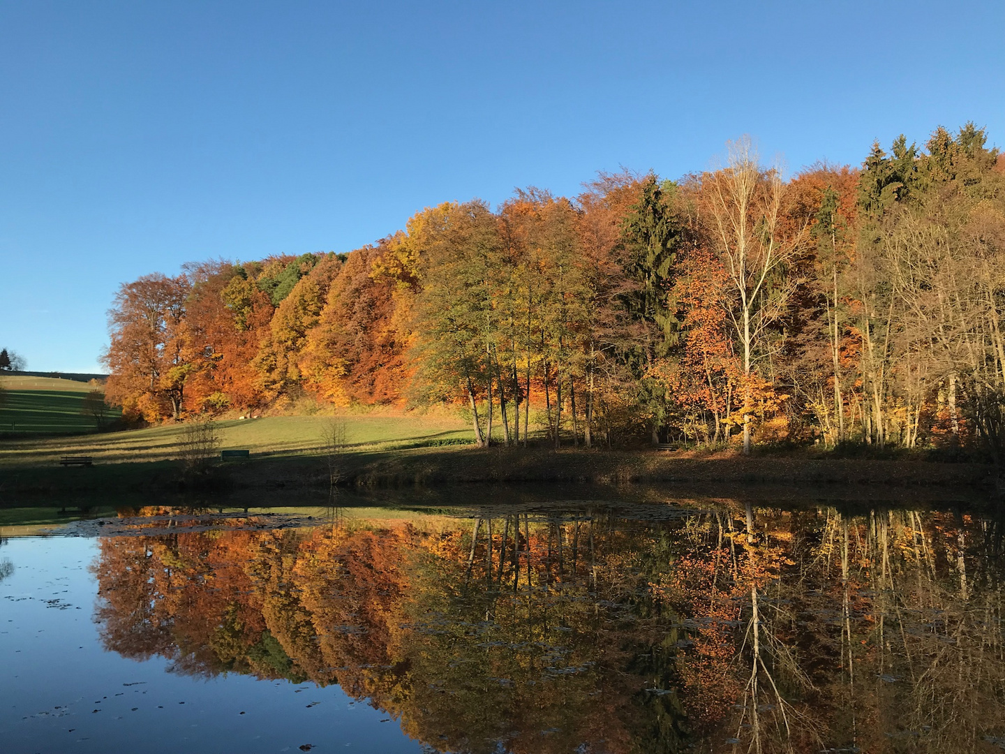 Hinterwaldteich im Herbst 1