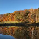 Hinterwaldteich im Herbst 1