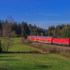 Hinterzarten Richtung Titsee