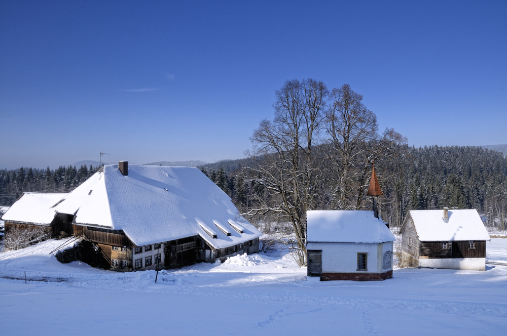 hinterzarten4