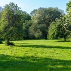 Hinüberscher Garten I - Hannover