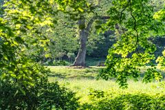 Hinüberscher Garten IX - Hannover