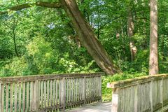 Hinüberscher Garten VIII - Hannover