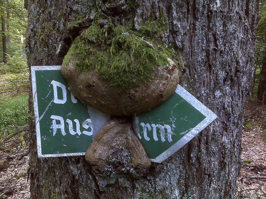 Hinweisschild am Eifelsteig zum Aussichtsturm Dietzenley