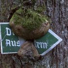 Hinweisschild am Eifelsteig zum Aussichtsturm Dietzenley