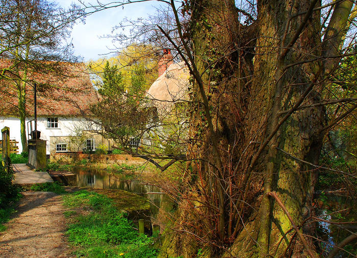 Hinxton mill