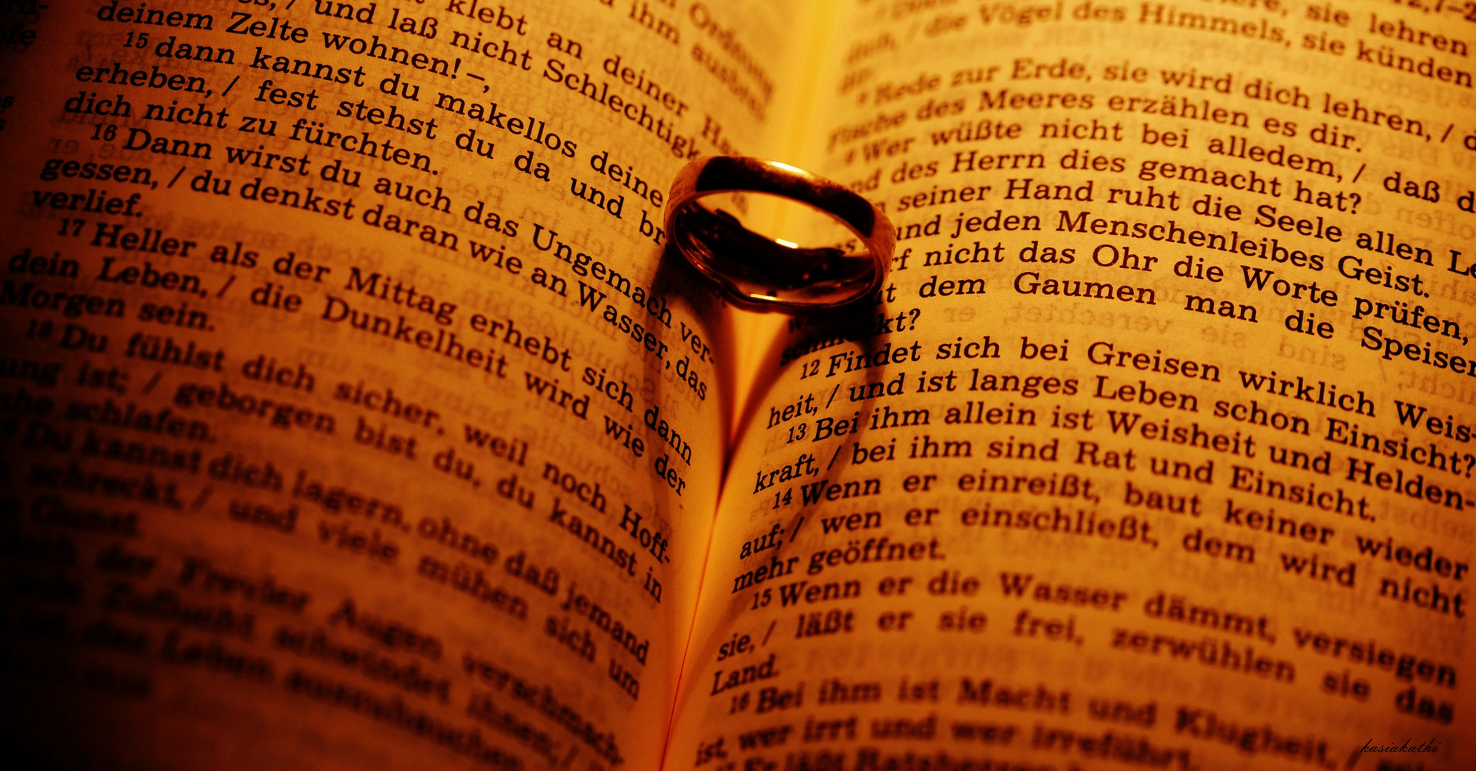 Hiob 11 : die Bibel