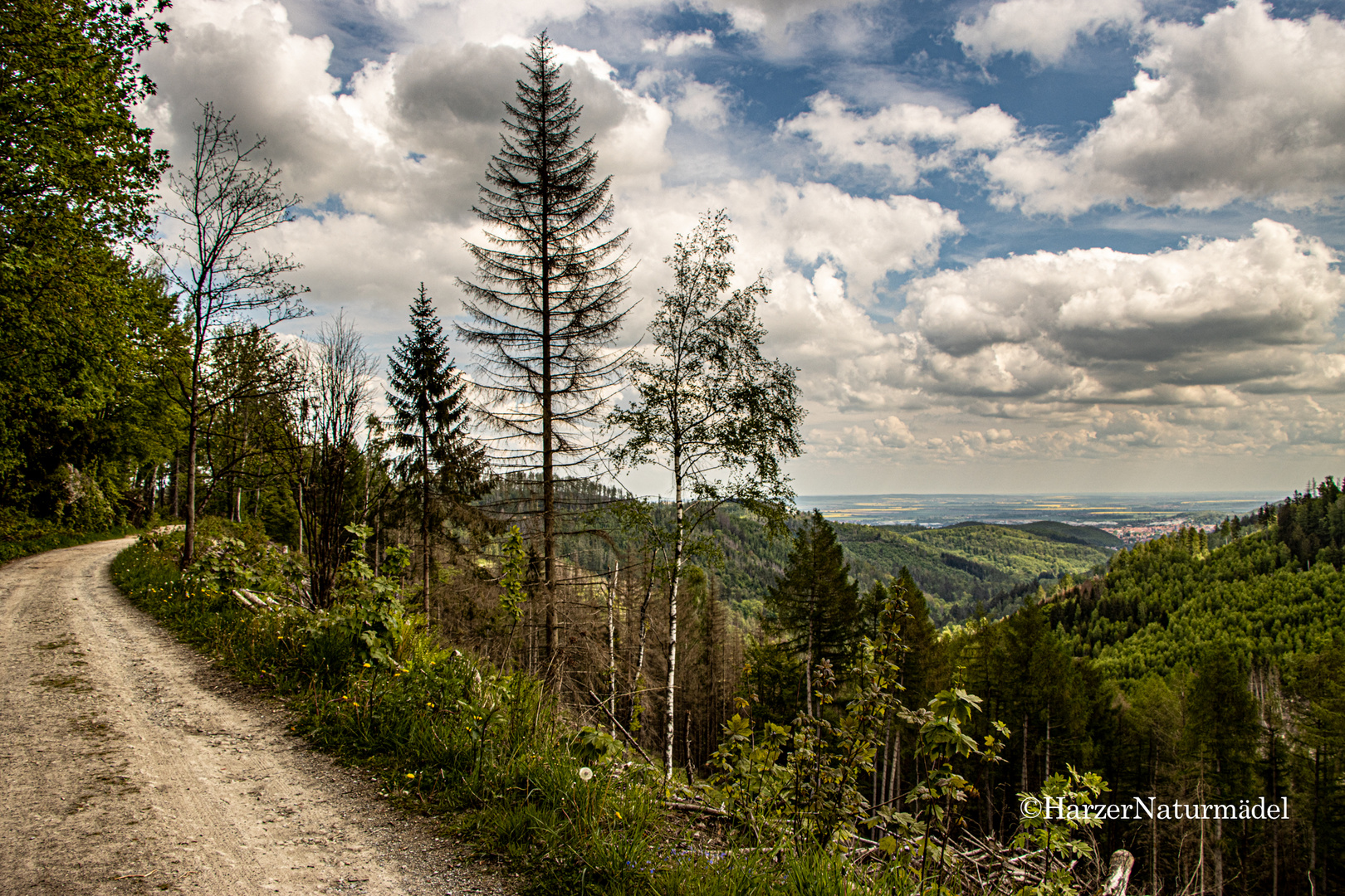 Hippelhangweg