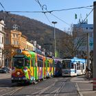 Hippie am Bismarckplatz