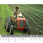 Hippie Life - 2 Men at Work