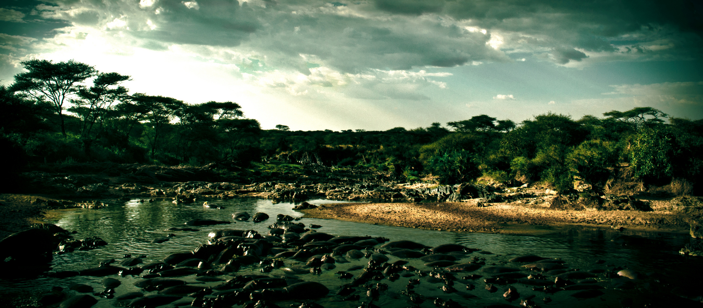 Hippo Pool