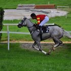 Hippodrome de Pompadour (Limousin