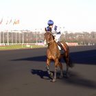 HIPPODROME DE VINCENNES