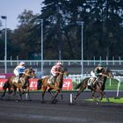 Hippodrome de Vincennes