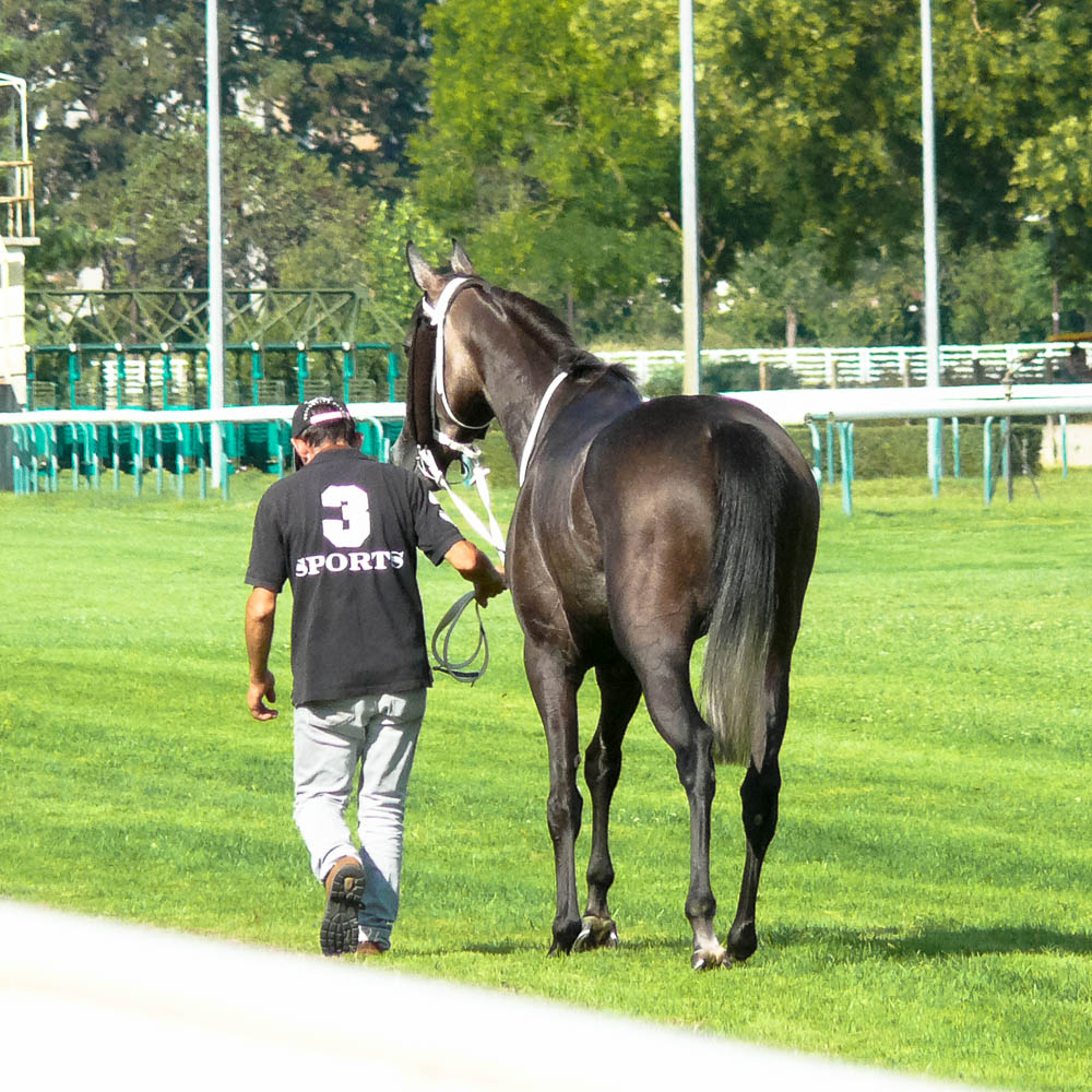 Hippodrome Vichy