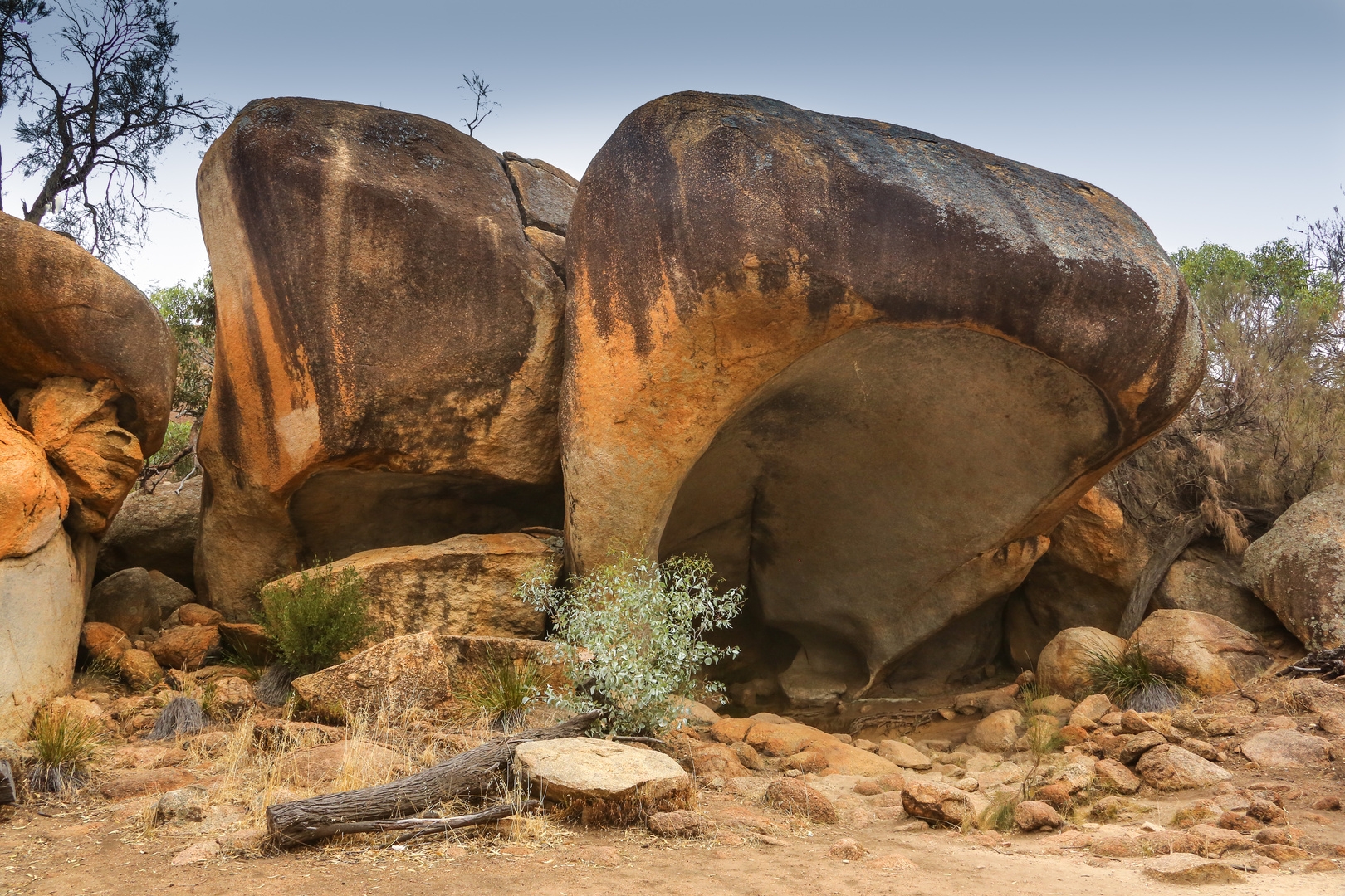 Hippos mouth rock