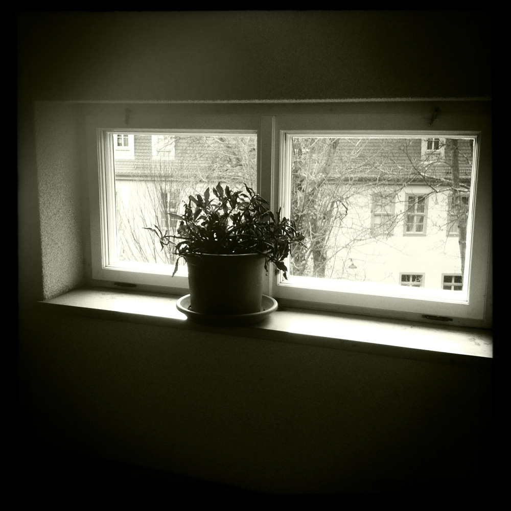 hipsta.blick