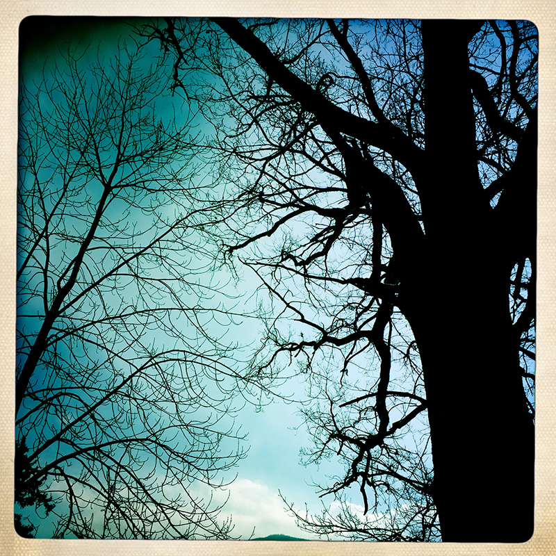 Hipstamatic (1)