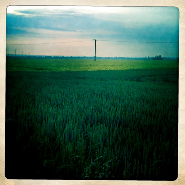 Hipstamatic Countryside