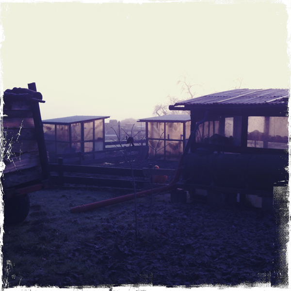 Hipstamatic Wetterbericht Himmighofen -1.5° Nebel -Sonne alles dabei