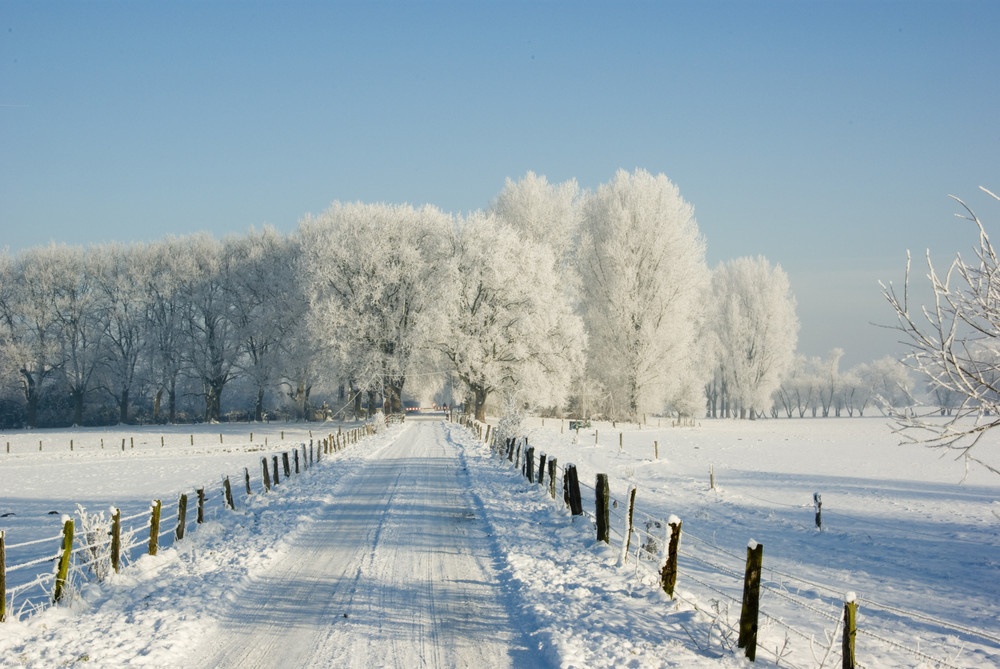 Hirntern Dam im Winter