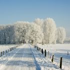 Hirntern Dam im Winter