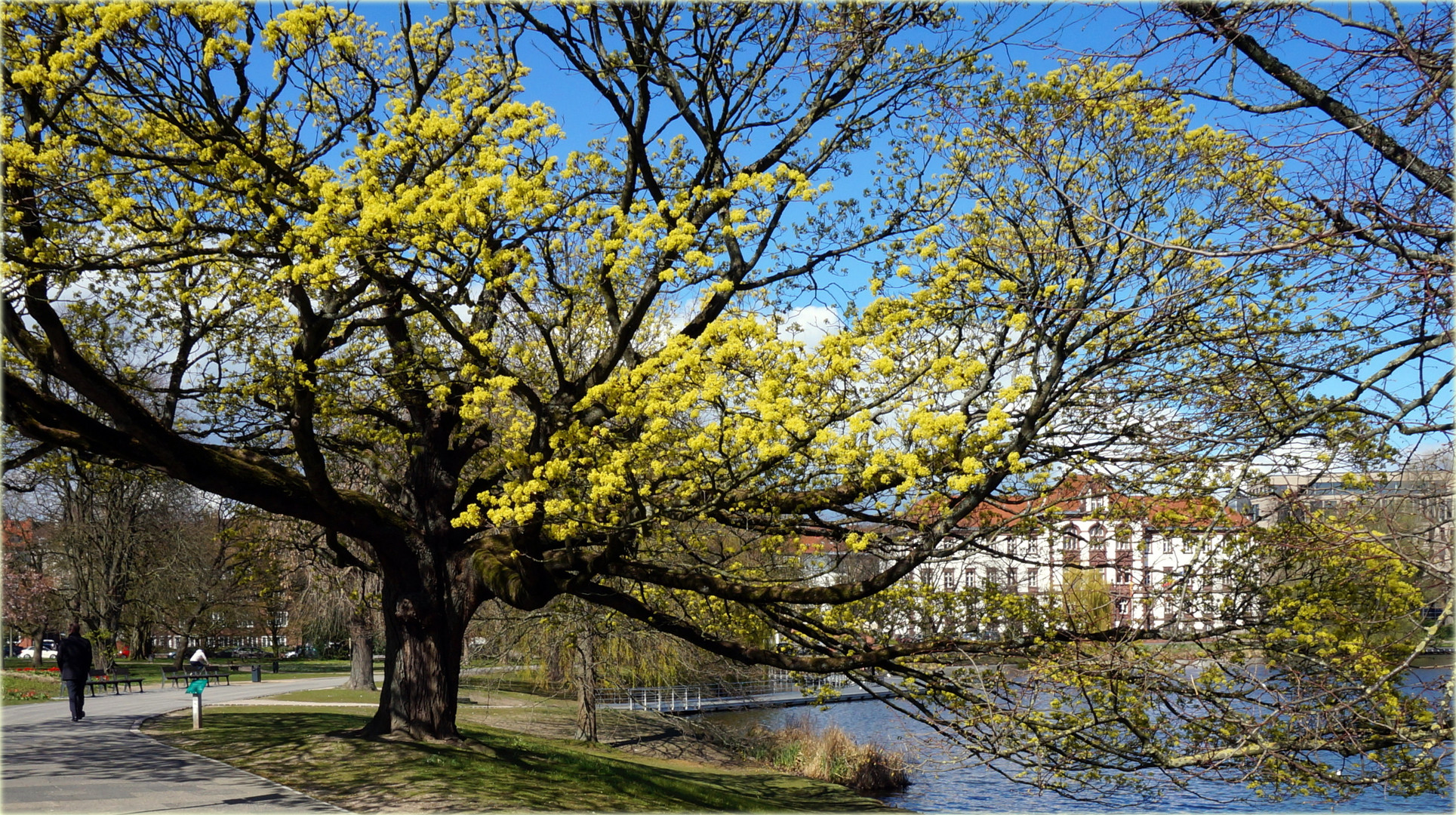 Hiroshimapark in Kiel