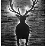 Hirsch
