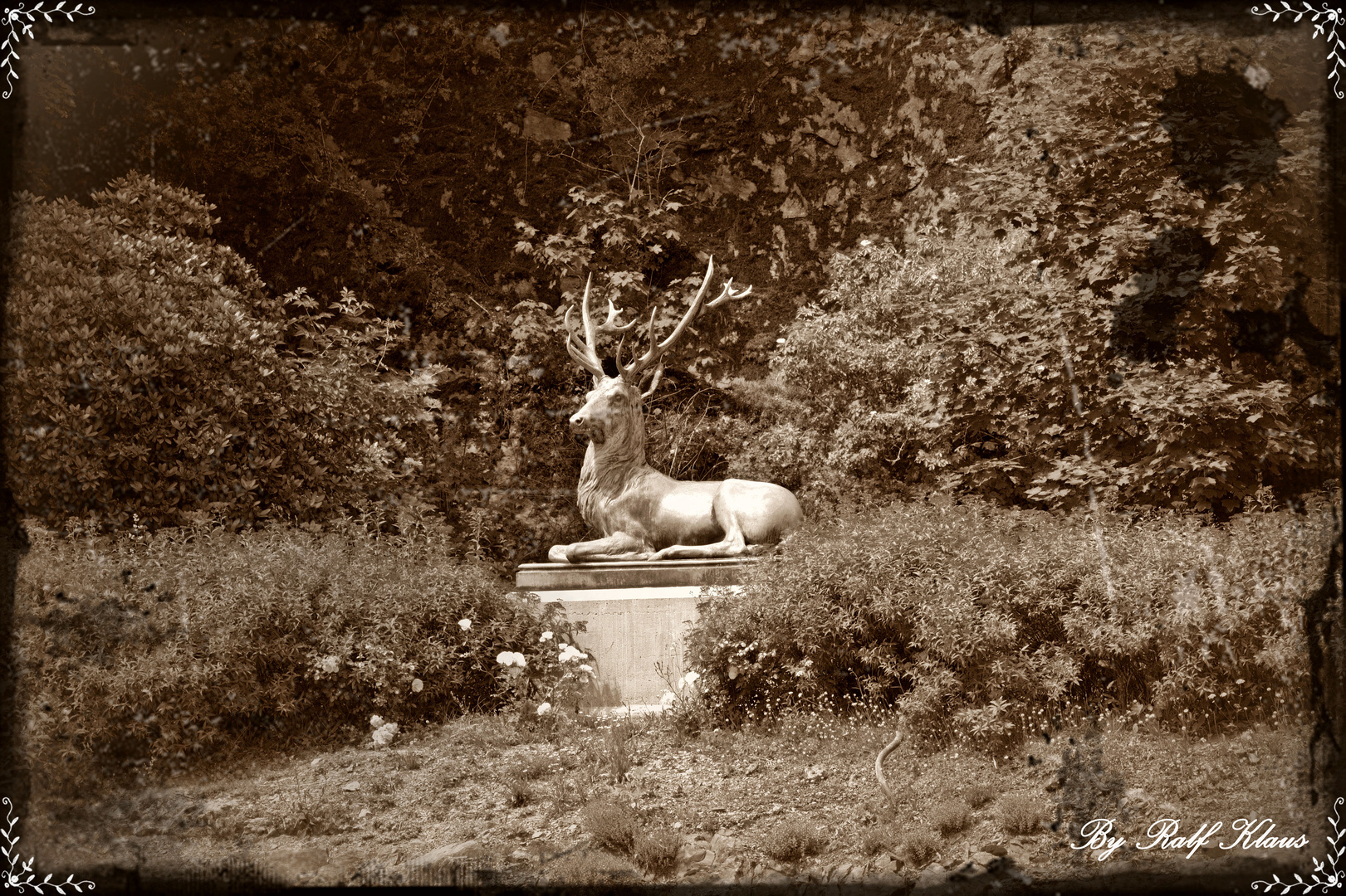 Hirsch am Schloß Wittgenstein