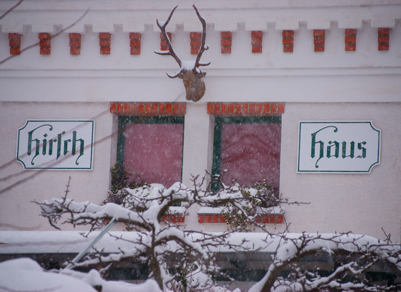 Hirsch heiß ich