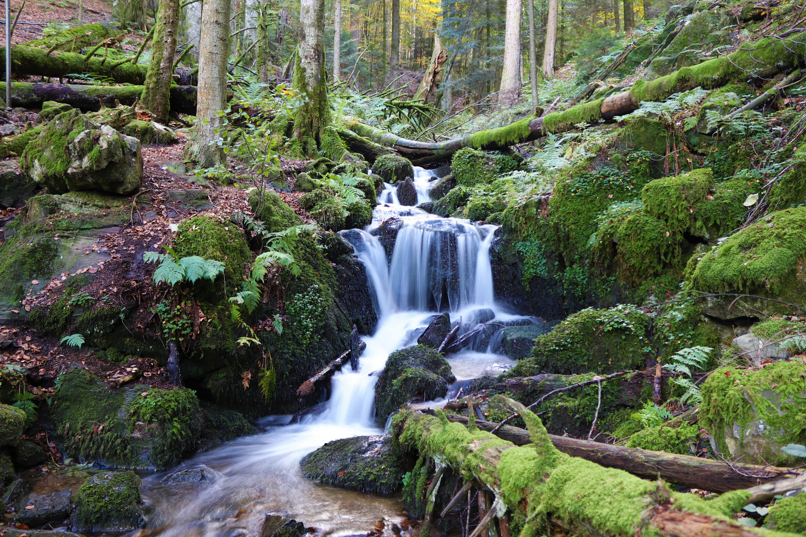 Hirschbach Foto & Bild deutschland, europe, baden württemberg Bilder