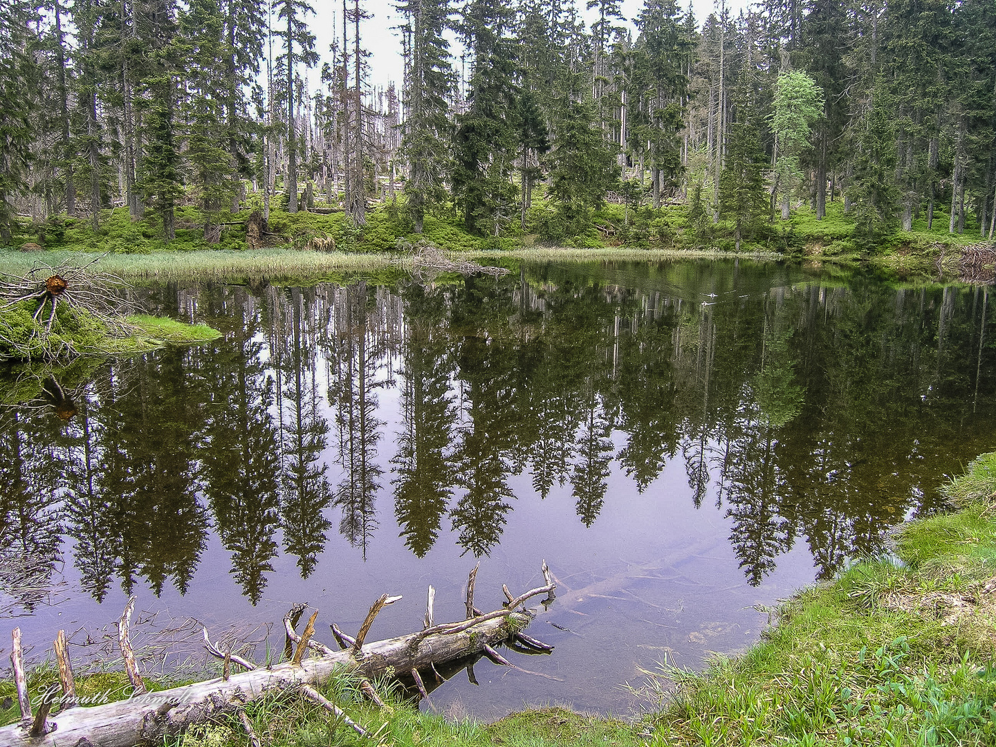 Hirschbachschwelle ( kleiner Stausee ) 