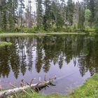 Hirschbachschwelle ( kleiner Stausee ) 