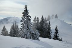 Hirschberggrat - Kanisfluh