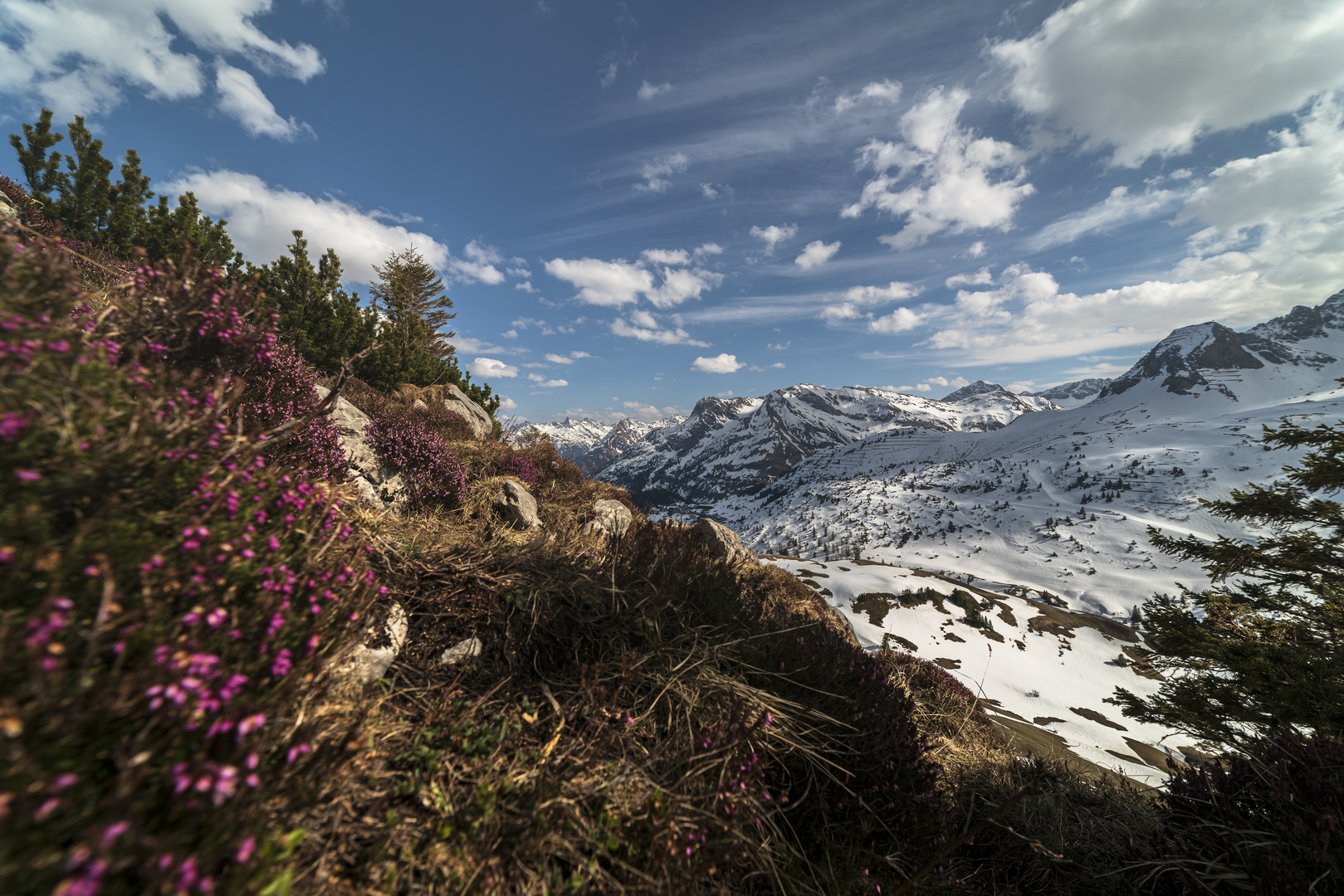 Hirschgehrenalpe