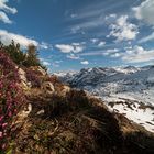 Hirschgehrenalpe