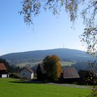 Hirschhaid im Fichtelgebirge