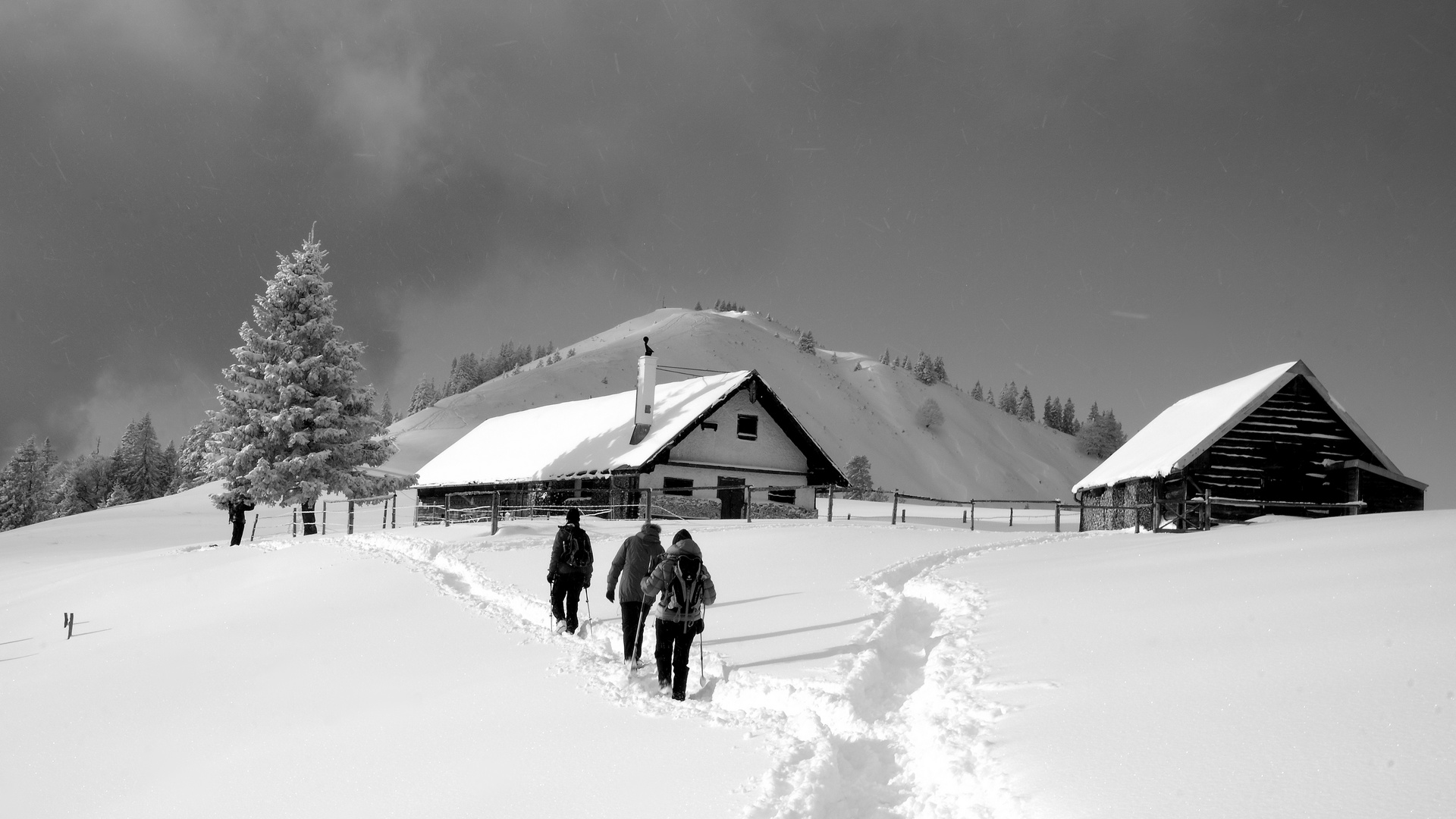 Hirschhörnlkopf Januar 2017