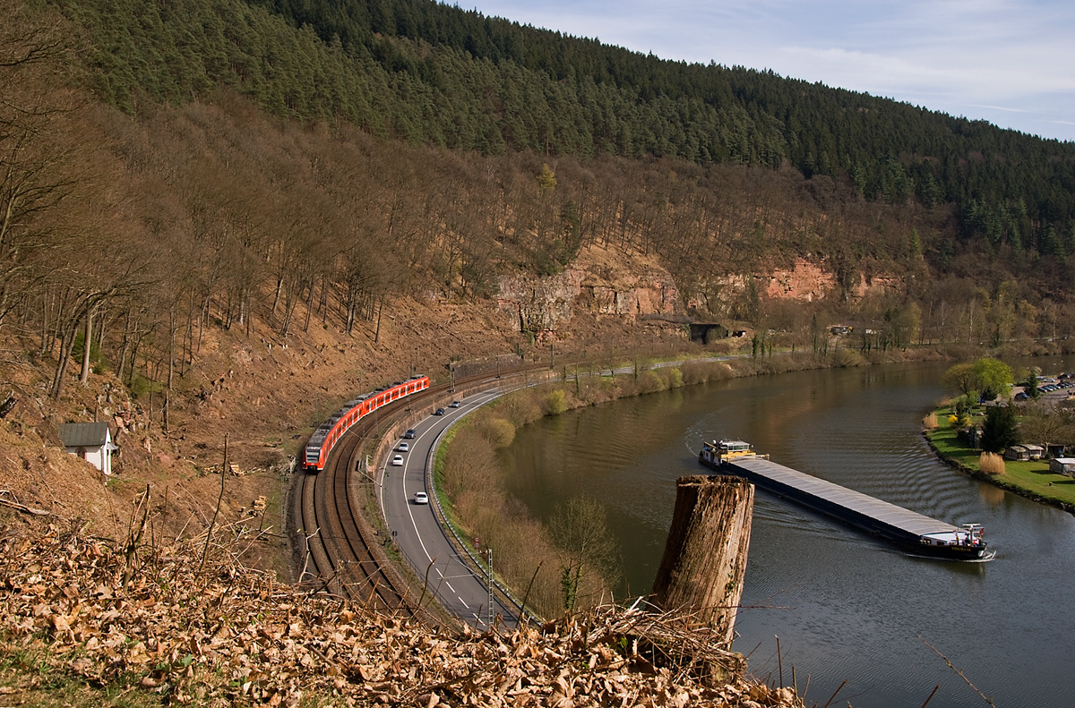 Hirschhorn am Neckar