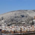 Hirschhorn (Neckar) im Winter