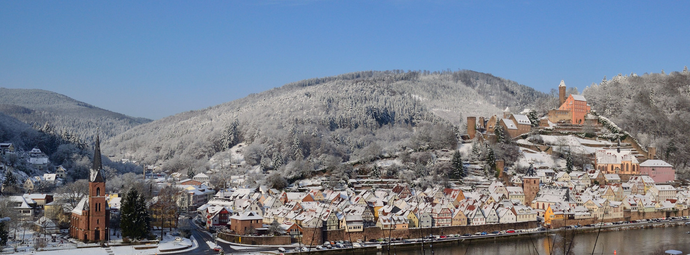 Hirschhorn (Neckar) im Winter