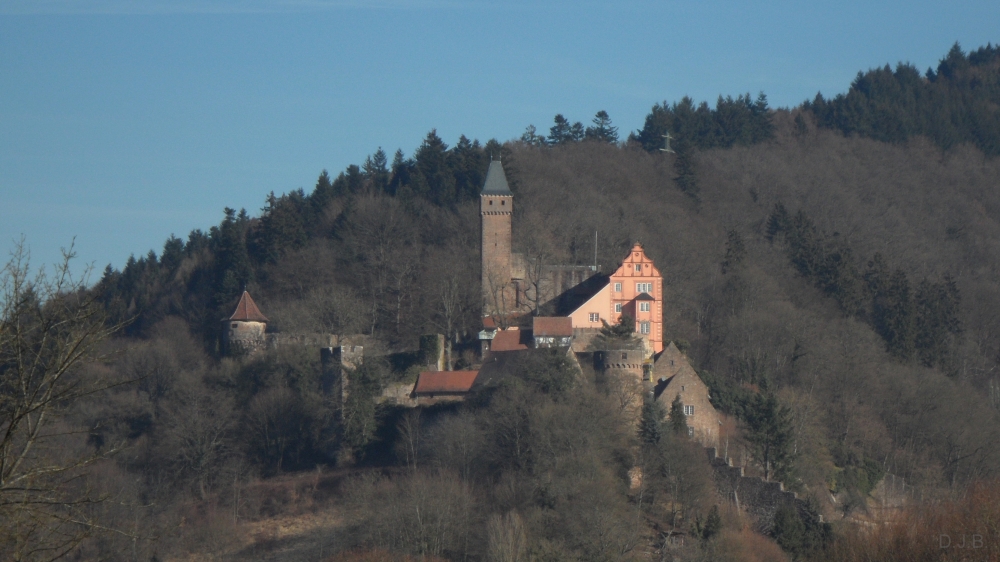 Hirschhorner Schloss