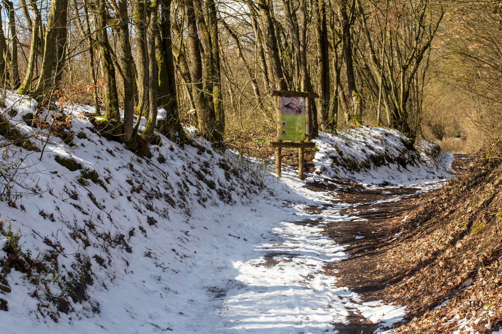 Hirschkäfer-Parcours in Zaberfeld