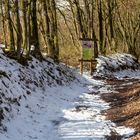 Hirschkäfer-Parcours in Zaberfeld