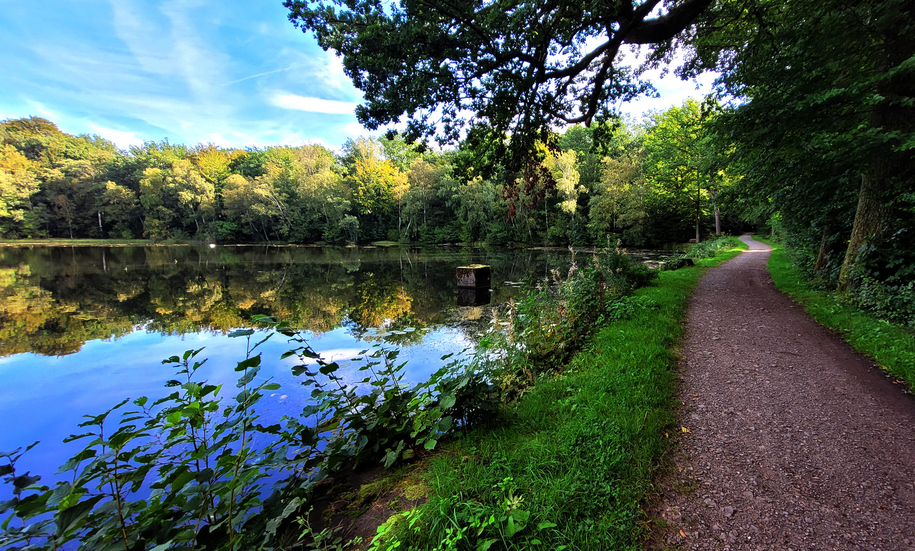 Hirseteich in Walkenried