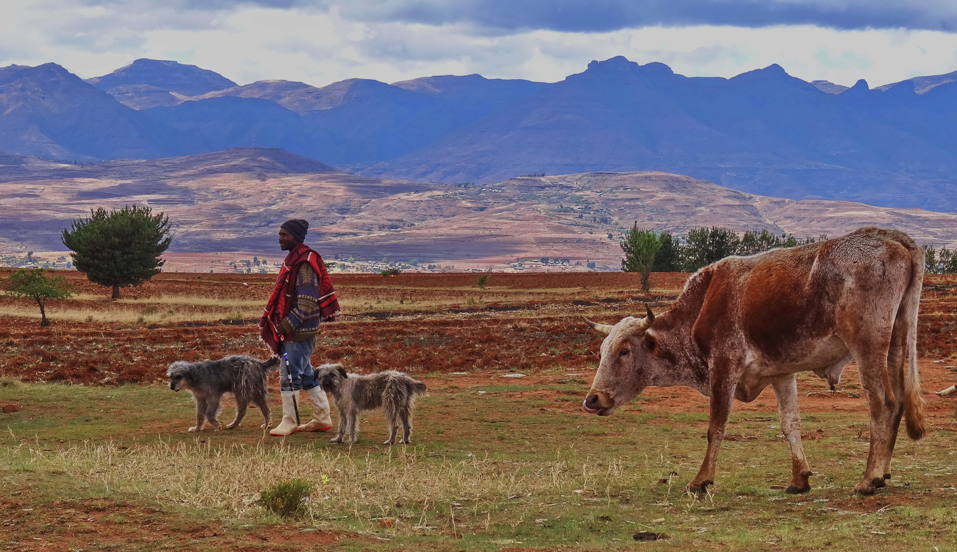 Hirte im Bergland Lesotho