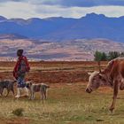 Hirte im Bergland Lesotho